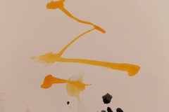 Foto_41_d